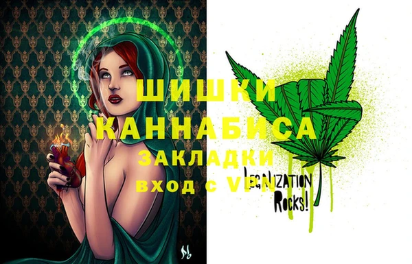 тгк Ельня