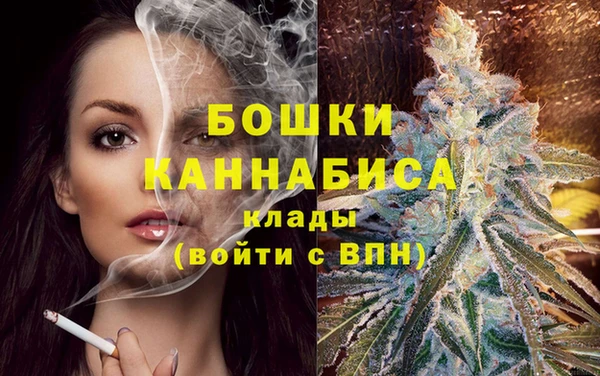 тгк Ельня
