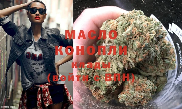 тгк Ельня