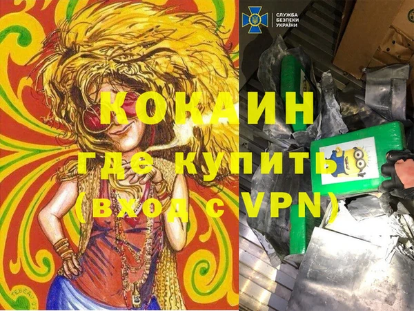 тгк Ельня