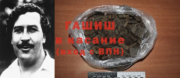 тгк Ельня