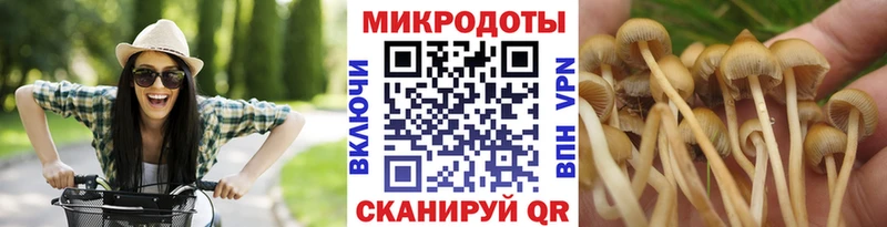 Псилоцибиновые грибы GOLDEN TEACHER  Чёрмоз 